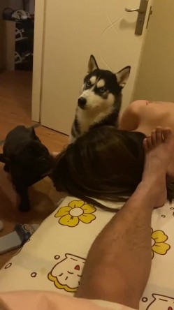 【网曝热门事件 震惊】超火爆吉林女孩岳欣玥最新性爱视频流出 黑鬼6P黑丝 皮鞭SM爆菊 日常全裸操 高清720P原版 截图9