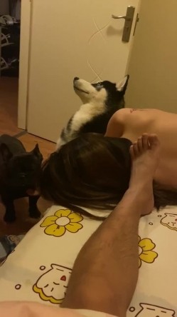 【网曝热门事件 震惊】超火爆吉林女孩岳欣玥最新性爱视频流出 黑鬼6P黑丝 皮鞭SM爆菊 日常全裸操 高清720P原版 截图12