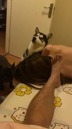 【网曝热门事件 震惊】超火爆吉林女孩岳欣玥最新性爱视频流出 黑鬼6P黑丝 皮鞭SM爆菊 日常全裸操 高清720P原版 截图14