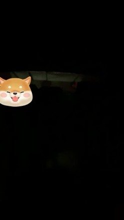小伙开车带着漂亮的表妹去偏僻的地方玩车震 操到她受不了了完美露脸 截图3