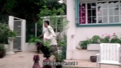 中国女明星精华片段合集 截图2