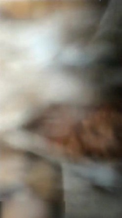 百度云泄密流出 极品身材的美女空姐和男友啪啪啪视频流出 截图7