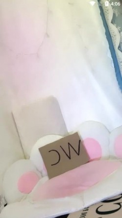 颜值最高的女神【陈晓晓】明星级别绿播转黄 截图10