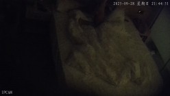 高校附近酒店偷拍 正午阳光正好呆萌女友的身体散发着圣洁的光女友上位耸动阳光照在屁股上菊花上 截图8