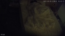 高校附近酒店偷拍 正午阳光正好呆萌女友的身体散发着圣洁的光女友上位耸动阳光照在屁股上菊花上 截图9