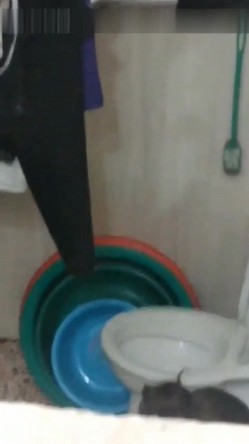 最近偷窥上瘾了每晚都要趴墙头偷窥隔壁打工妹洗澡看着她茂盛的阴毛下面就硬了有时还能做个春梦 截图16