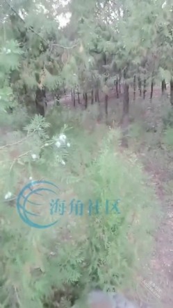 乱伦大神【梦想是母姨双飞】，和小姨野外不小心破了屁眼小姨还说没破 截图13