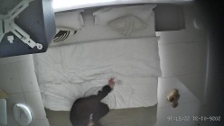 酒店上帝视角偷拍女友换上情趣睡衣后被小伙用超长大黑牛狂怼骚逼 截图3
