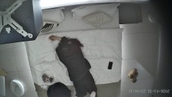 酒店上帝视角偷拍女友换上情趣睡衣后被小伙用超长大黑牛狂怼骚逼 截图11