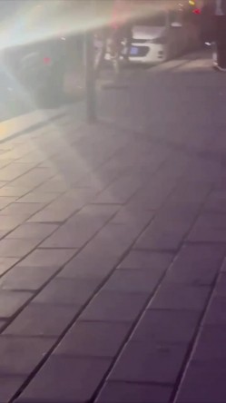 网曝门事件 河北捞女出轨，男友当街大骂“骚逼” 捞女气急败坏疯狂的骂还脱裤子露逼让来操 截图13