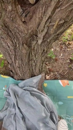 【超顶 ️海角大神】性感的婶婶 极品户外激战皮鞭淫威下汁液横流 上树艹穴惊呆了 火力输出滚烫蜜穴榨射 中出浓汁 截图12