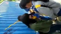 捉奸-女学生欺负老实同学把裤子强行脱了 截图12