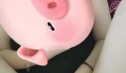 【长腿白虎小优】在我的撩拨下嫂子又给我发了艹逼的小视频 截图8