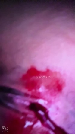 超近距离贴B拍 大三极品黑丝学姐尿尿 没想到还是一个白虎 截图10