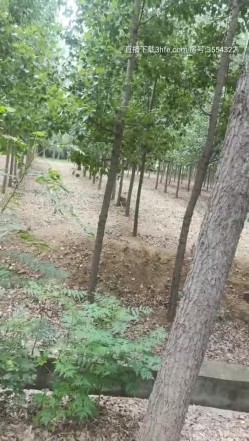户外鼻祖小女子孟凡，比谁玩的都刺激，全程露脸户外全裸与小哥激情啪啪，AV棒自慰无视路边过路人员口爆吞精 截图15