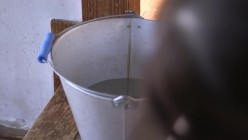 NEWM-016 母の尻 抜き挿し丸見え近親相姦 其の六 佐倉由美子 截图11