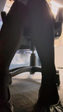 【露露儿酱】真实办公室白领办公室偷偷露出躲厕所自慰大秀特写抠逼有点可爱的小骚货 截图14