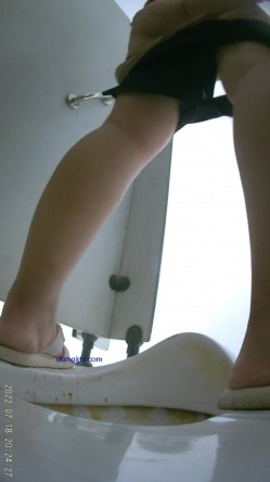 热闹商场女厕偸拍超多小姐姐方便，看脸看逼半蹲式撅个大腚看双洞妹子穿个短裤还穿个肉丝开裆真骚 截图15