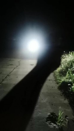 户外裸奔女神 ，白酒灌逼、现场喝尿，吃精液，室内户外两炮，爽歪歪，’你没有戴套，不要内射呀，我怕‘！ 截图12