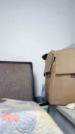 熟女尤物【涵涵反差榨汁姬】骚的没边了 大奶美乳 长腿翘臀 逼毛浓厚 掰逼用大鸡巴自慰流白浆 截图14