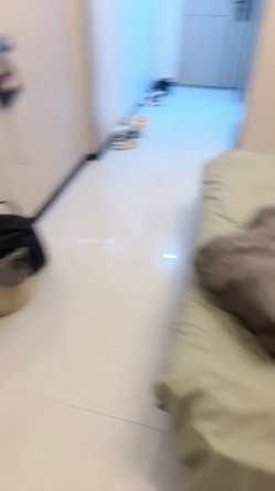 极品御姐，【水多叫的响】，和男友的性福生活，沉浸式口爆，无套啪啪，小少妇不满足一直要操！ 截图16