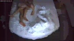 两天实录 热衷扣穴的男友 被窝里干了两次 扣了好几个小时女友穴 截图10
