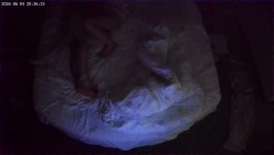 两天实录 热衷扣穴的男友 被窝里干了两次 扣了好几个小时女友穴 截图12