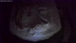 两天实录 热衷扣穴的男友 被窝里干了两次 扣了好几个小时女友穴 截图14