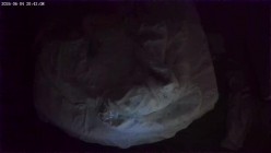 两天实录 热衷扣穴的男友 被窝里干了两次 扣了好几个小时女友穴 截图15