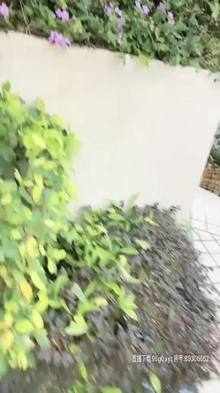 蝴蝶逼大胆美女户外露出沙滩按摩棒自慰电召勾引个网约车司机到厕所啪啪 截图5