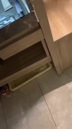 体育生渣男约炮校花对着镜头爆操，搞得女神奶子一直顶飞，我的妈呀 射毛毛上！ 截图1