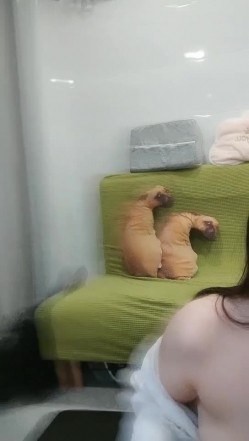 极品高颜冷艳御姐，反差小妈感女主播「金刚护撸娃」「小奶猫」激情淫语撩骚，和姐妹下海大秀，互舔互口假鸡巴互插 截图3