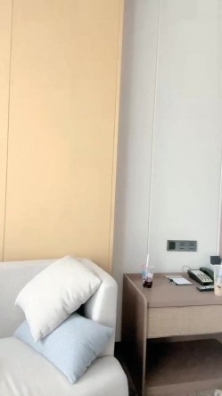 甜甜小少妇 甜甜圈 密码房 截图15