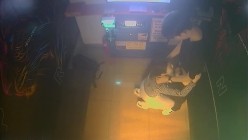 黑客破解KTV包间摄像头偷拍年轻情侣调皮的女生对着摄像头比剪刀手和男友在沙发上做爱小哥经验不足差点早泄 截图4