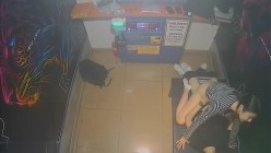 黑客破解KTV包间摄像头偷拍年轻情侣调皮的女生对着摄像头比剪刀手和男友在沙发上做爱小哥经验不足差点早泄 截图7