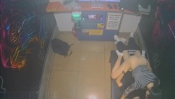 黑客破解KTV包间摄像头偷拍年轻情侣调皮的女生对着摄像头比剪刀手和男友在沙发上做爱小哥经验不足差点早泄 截图9