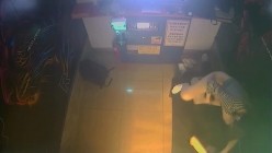 黑客破解KTV包间摄像头偷拍年轻情侣调皮的女生对着摄像头比剪刀手和男友在沙发上做爱小哥经验不足差点早泄 截图10