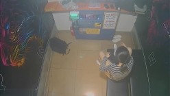 黑客破解KTV包间摄像头偷拍年轻情侣调皮的女生对着摄像头比剪刀手和男友在沙发上做爱小哥经验不足差点早泄 截图16