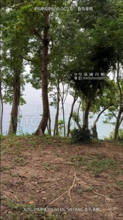 超极品身材尤物『欣欣子』ICICIS大神专属小母狗，多视角啪啪，这种极品尤物简直不要太极品 截图3