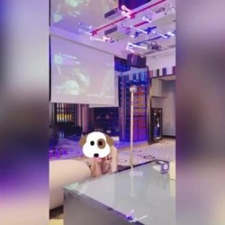 人生赢家~推特大佬【帝都金领S】啪啪调教各路极品良家、空姐、演员、舞蹈老师 截图2