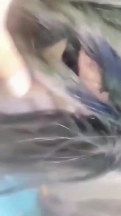 极品良家发情后是真骚 ️平日看似人畜无害的人妻在床上反差是真大主动换上制服调情都没碰她奶子自己就硬了无水印版 截图6