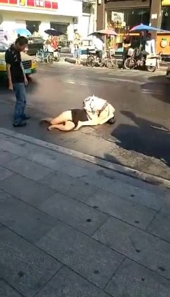 大街上实拍正室与小三互殴裤衩干飞露阴部太猛了 截图12