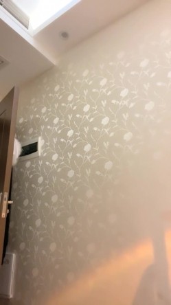 大奶翘臀，【苒同学】，御姐风女神，夹子音密码房~扮演秘书和老师，冲着这张脸也值得一撸 截图1