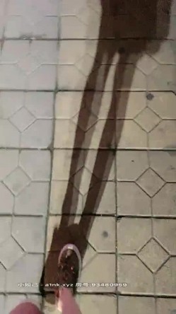 极品户外一姐【你好迷人】戴着跳蛋逛街，大街上路边摊情侣身后潮吹喷水，勾引两小伙公厕双飞 截图4
