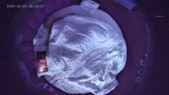 情趣酒店高清偷拍 光头社会男和女友开房玩的花舔脚捆绑花式做爱 截图14