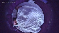 情趣酒店高清偷拍 光头社会男和女友开房玩的花舔脚捆绑花式做爱 截图15