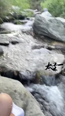 母狗调教训练推特大佬【太子】私拍，各种社死调教反差模特骚女，狗链露出爬行啪啪能玩的都玩了 截图11