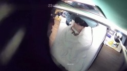 最新网黄资源下载-安防酒店摄像头上帝视角偷拍 ️分隔两地学生情侣放假重聚厮混一块啪啪 截图5