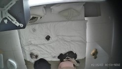 酒店上帝视角偷拍女友换上情趣睡衣后被小伙用超长大黑牛狂怼骚逼 截图4