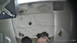 酒店上帝视角偷拍女友换上情趣睡衣后被小伙用超长大黑牛狂怼骚逼 截图6